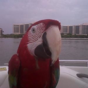 Meet your Posher, Debbie